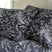 Wild Winter Pillowcase Set in Black with White